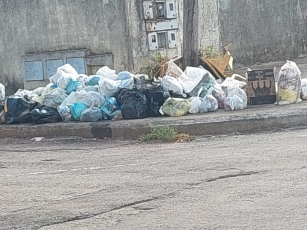 Moradores de diversos bairros de Anápolis relatam problemas após “sumiço” da coleta de lixo na cidade