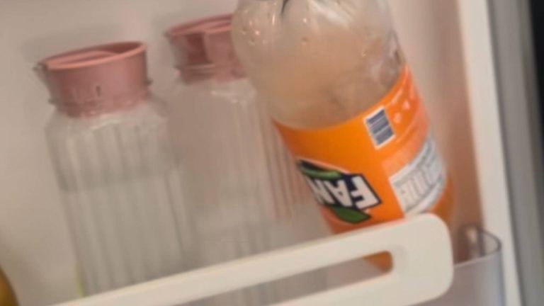 Forma correta de guardar o refrigerante na geladeira