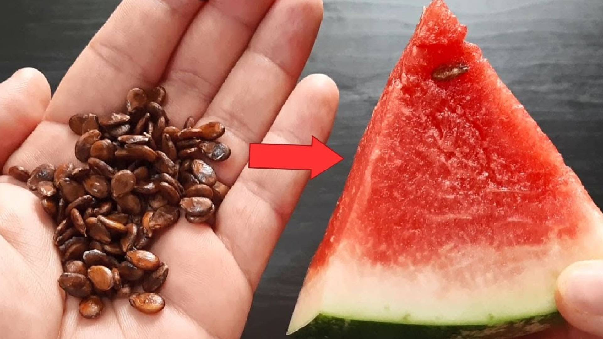Utilidades da semente de melancia