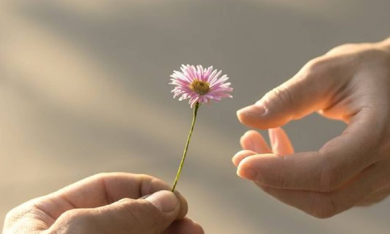 Entregar uma flor é um ato generoso de uma pessoa de caráter