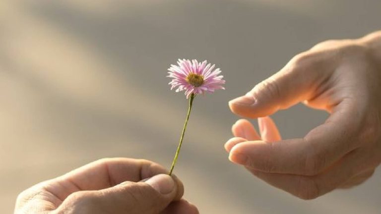 Entregar uma flor é um ato generoso de uma pessoa de caráter