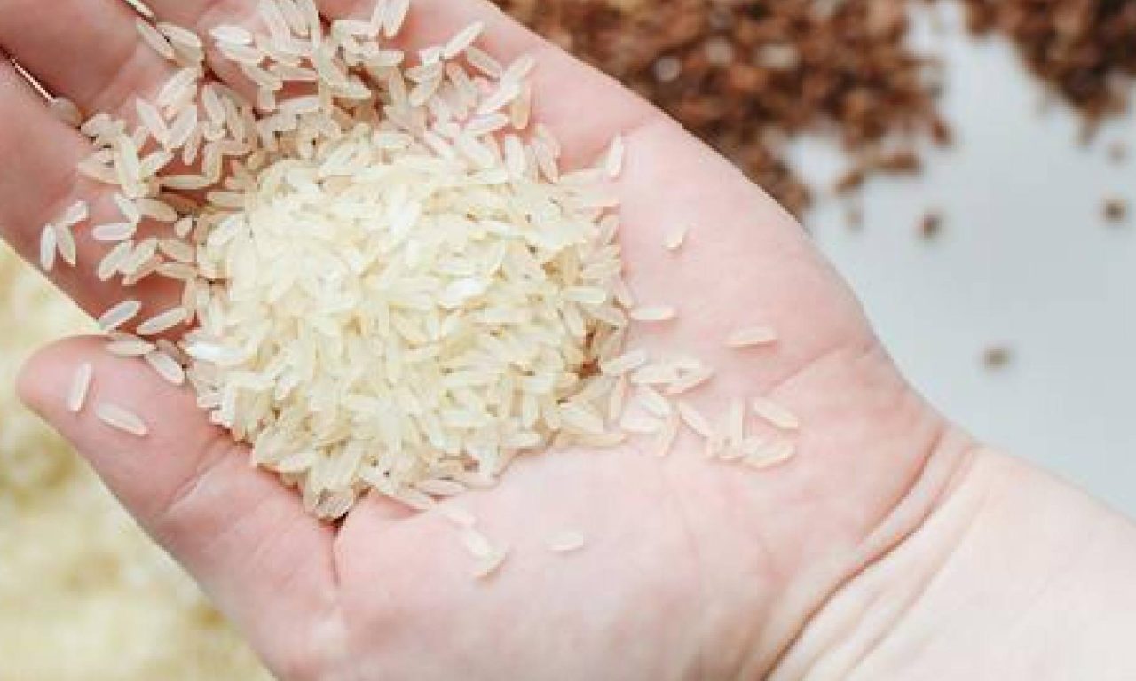 Mão cheia de arroz, um dos alimentos que atraem dinheiro e prosperidade.