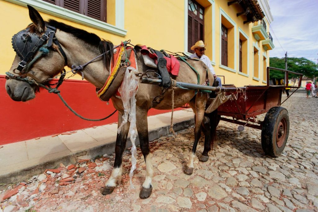 6 expressões que só quem é brasileiro entende (deixam os gringos confusos)