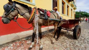 6 expressões que só quem é brasileiro entende (deixam os gringos confusos)