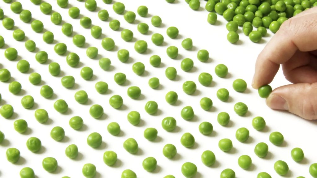 as pessoas inteligentes