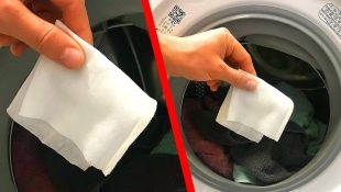 Lenços umedecidos são excelentes para quem lava roupa na máquina