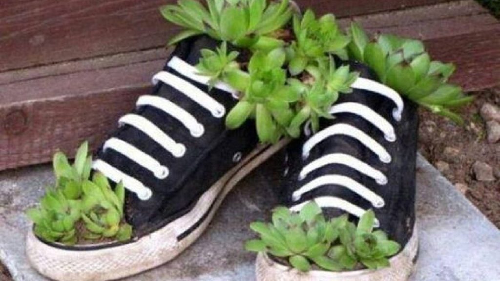 Utilidades do tênis: vaso de plantas estiloso