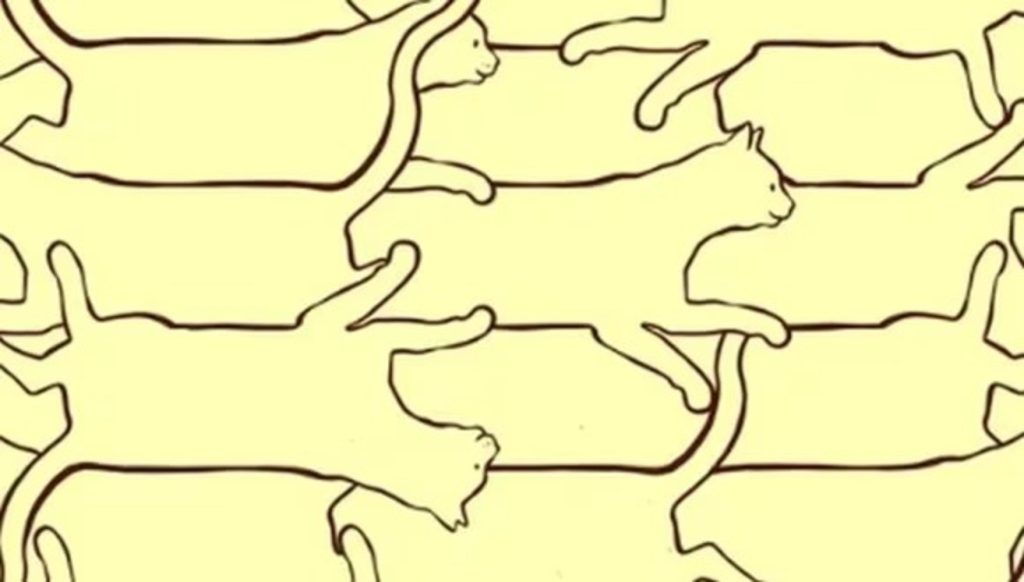 Apenas 2 gatos foram completamente desenhados e você têm 10 segundos para achar