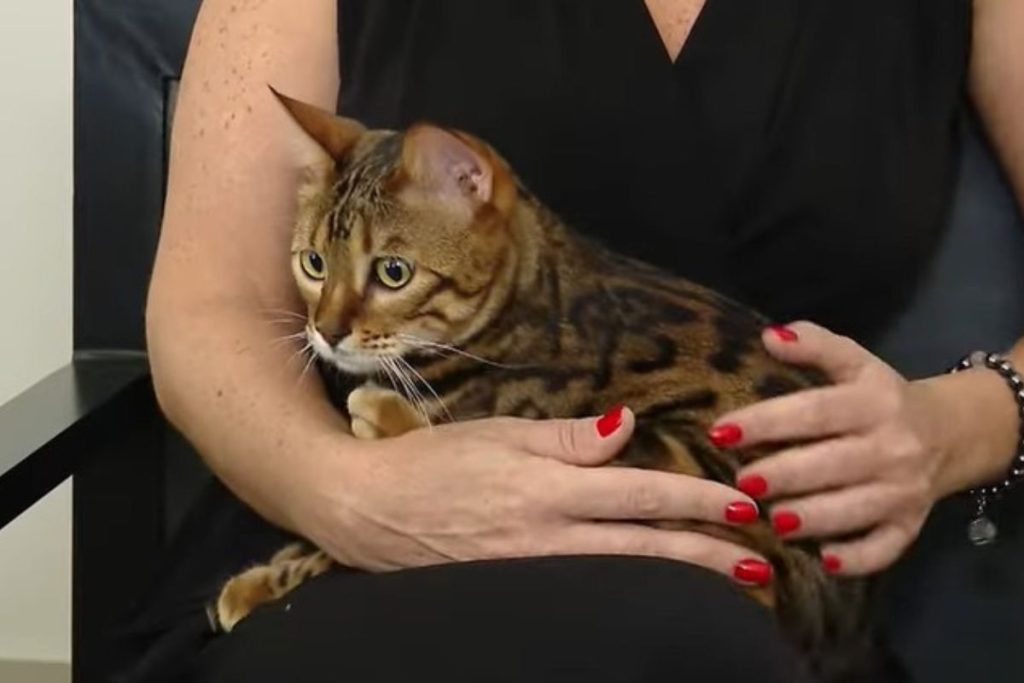 Pai de primeira viagem escolhe nome proibido para o bebê e esposa fica revoltada