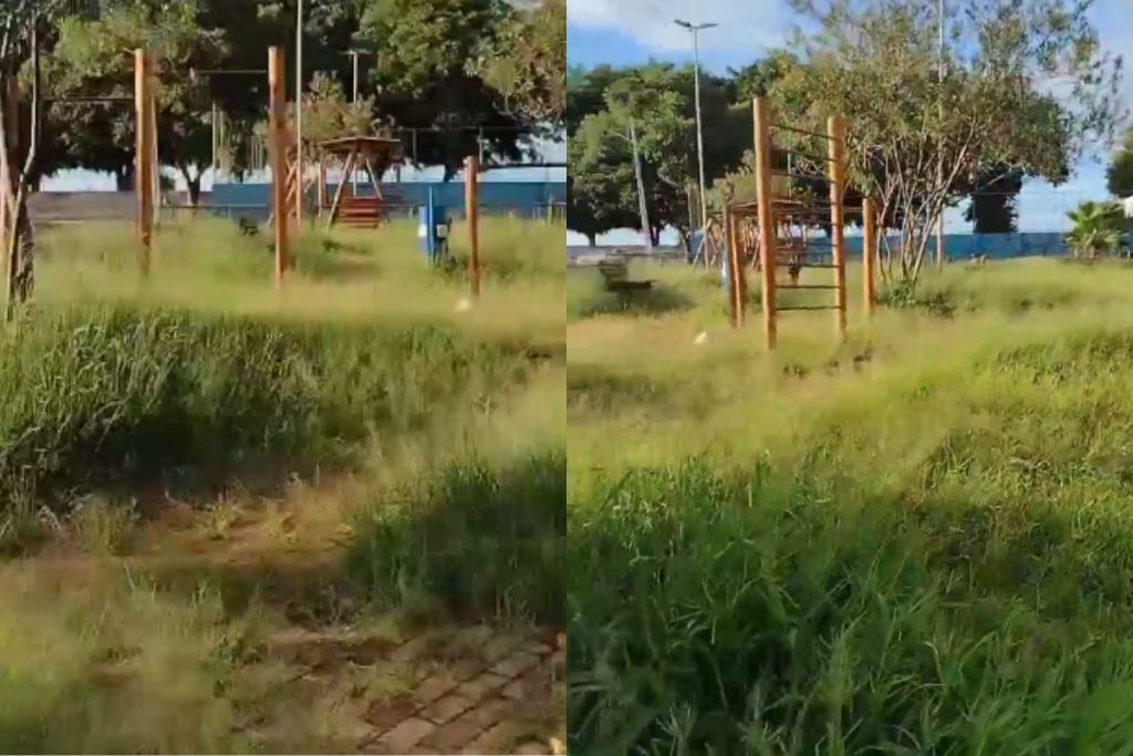 “Cadê o prefeito dessa cidade?”, questiona morador ao visitar praça de Anápolis tomada por matagal