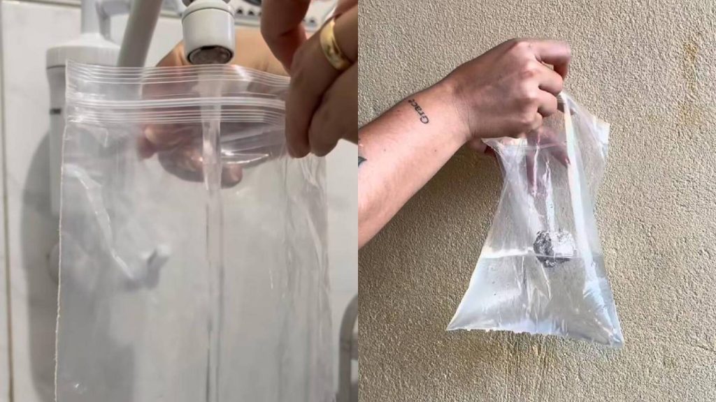 Truque simples para afastar as moscas de casa