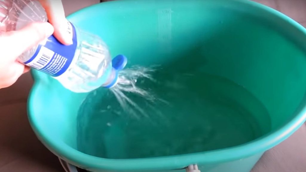 Vinagre ´capaz de tirar o cheiro de urina de gato do apartamento