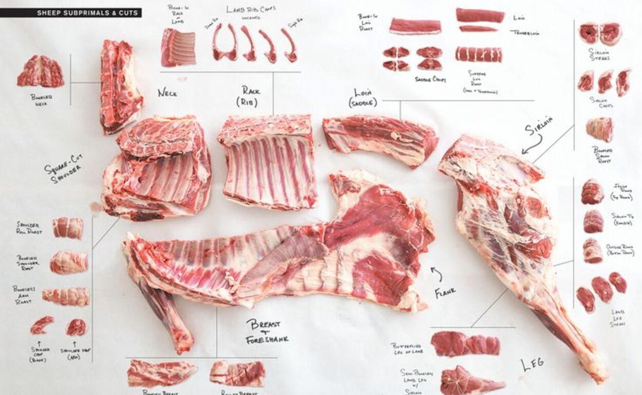 A forma simples para aprender diferenciar carne de primeira, segunda e terceira