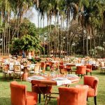 saveinsta-camFesta de luxo em Goiânia