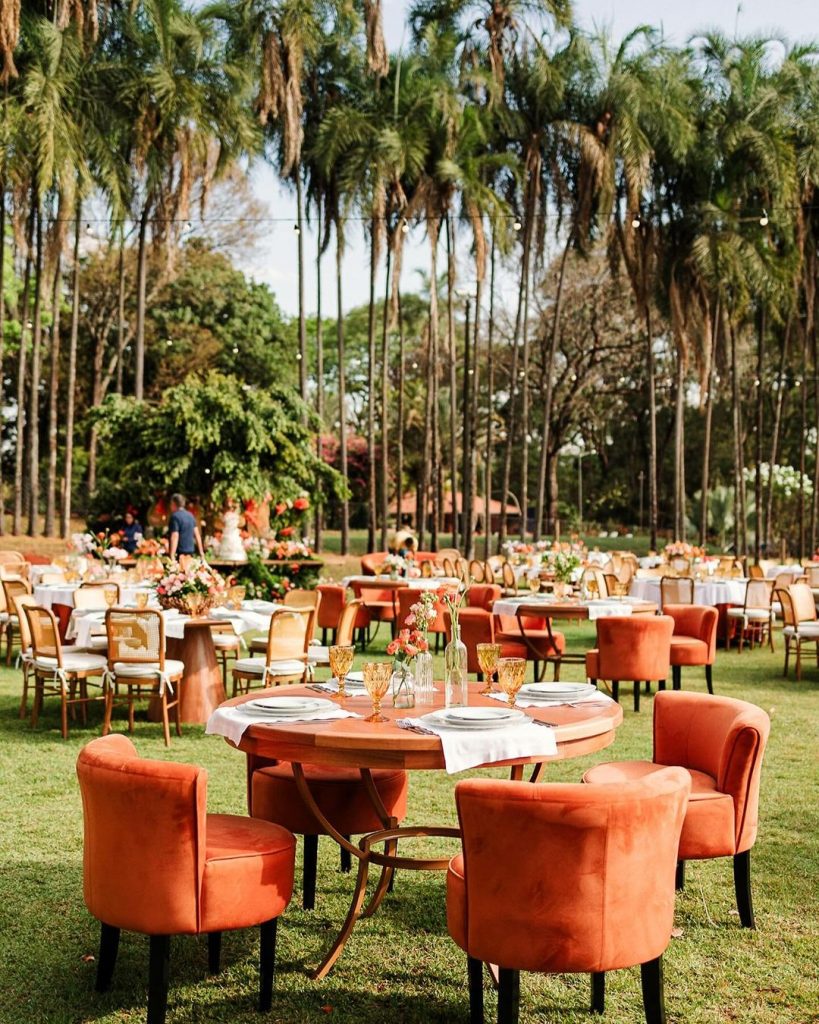 saveinsta-camFesta de luxo em Goiânia