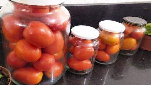 O jeito certo de guardar o tomate que só chefs de cozinha sabem