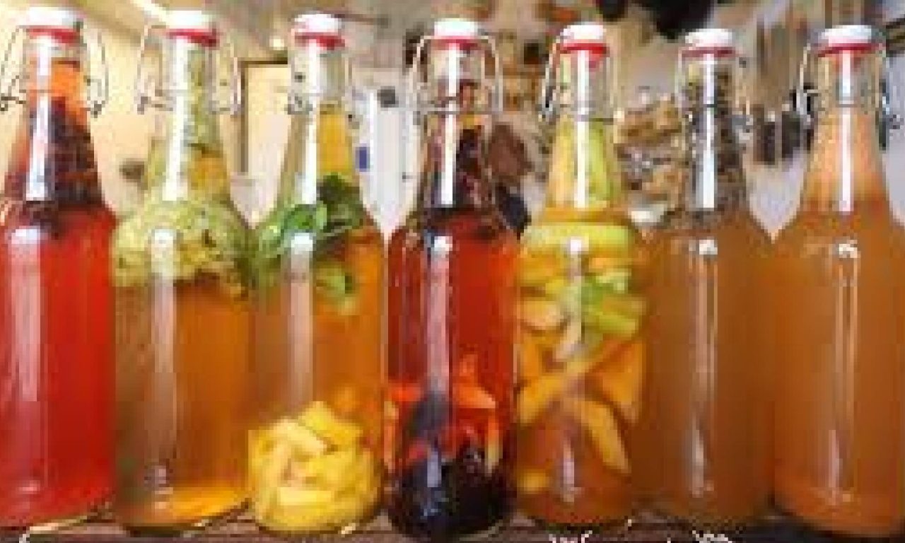 Kombucha é a bebida perfeita para eliminar a gordura do corpo