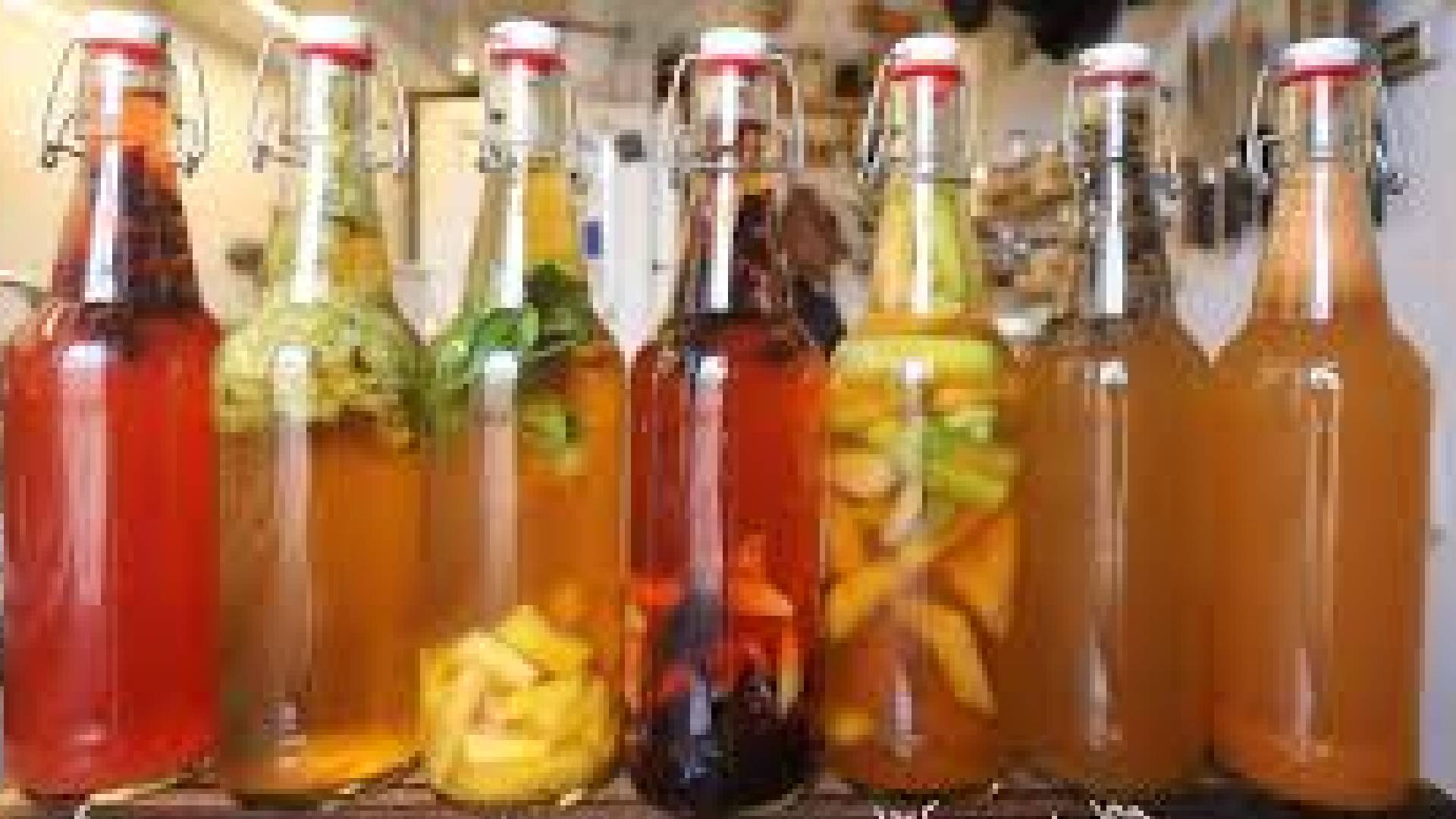 Kombucha é a bebida perfeita para eliminar a gordura do corpo