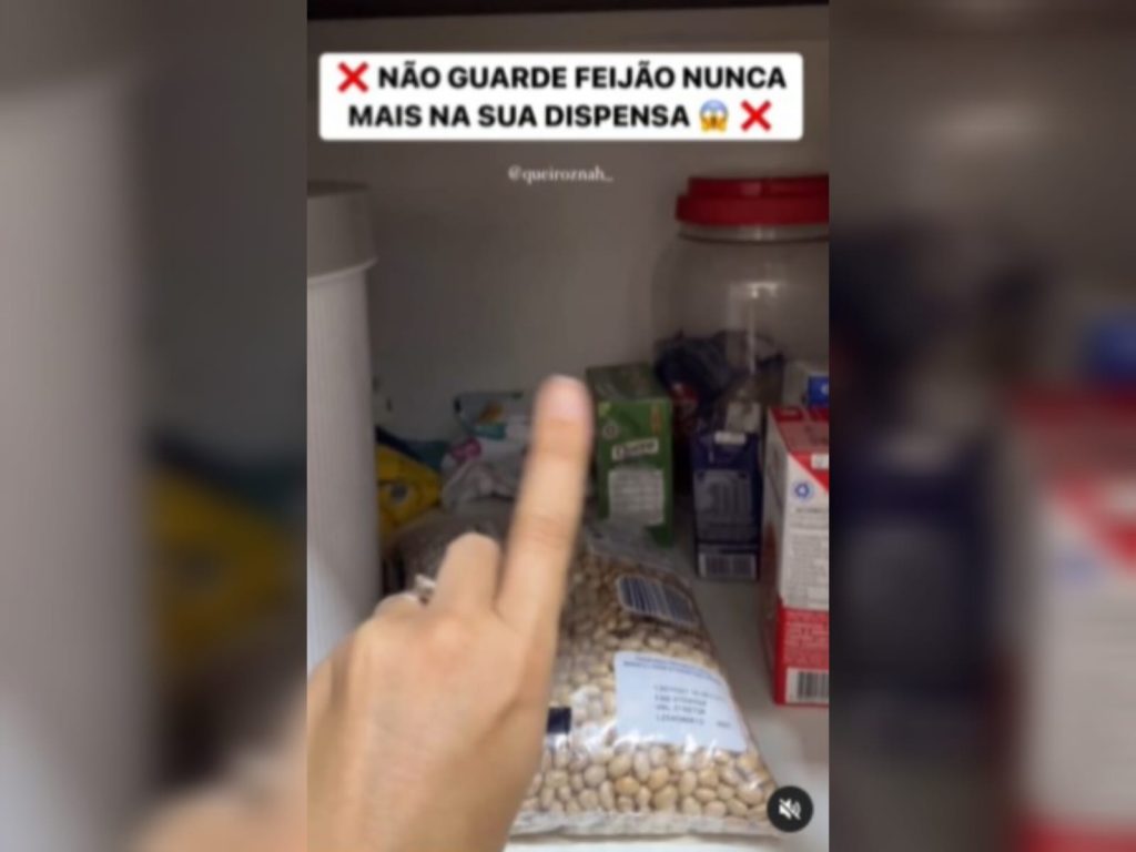 O segredo sobre guardar feijão que a maioria das donas de casa não sabem