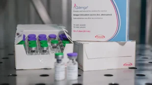 Vacina contra a dengue usada no Brasil é pré-qualificada pela OMS