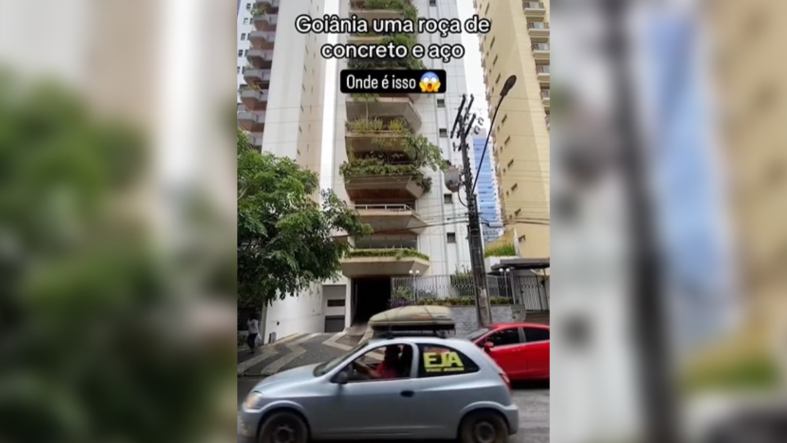 Homem diverte a internet ao mostrar morador inusitado em prédio de Goiânia