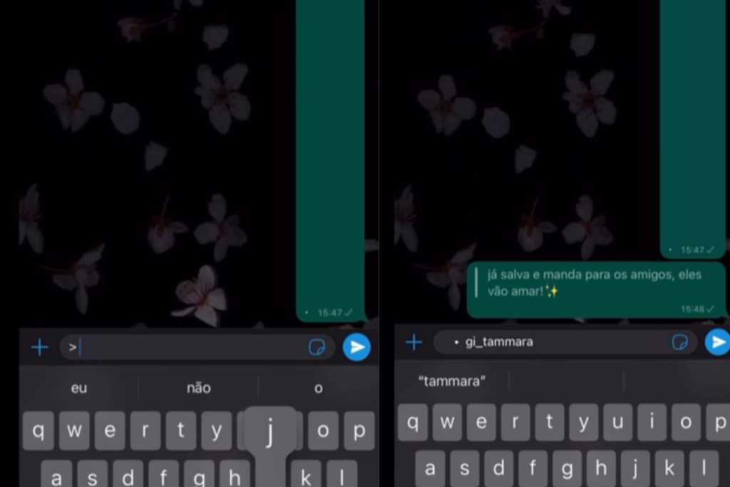 Segredo revelado: quem tem WhatsApp precisa saber dessa novidade