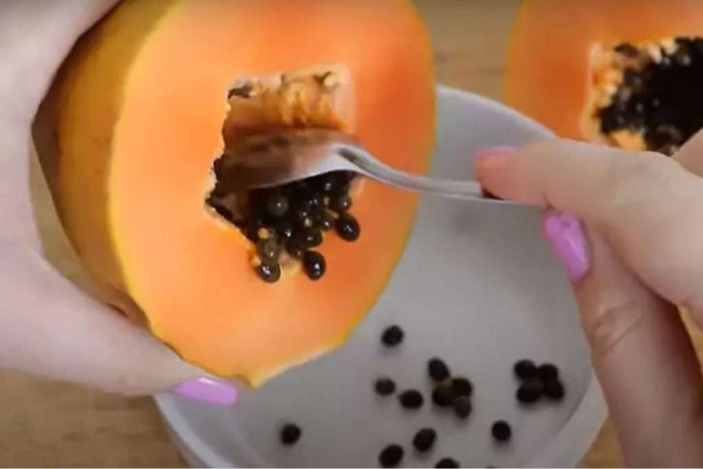 frutas 5 utilidades pouco conhecidas da semente de mamão (é um verdadeiro tesouro)