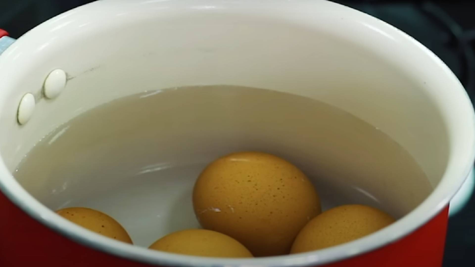 A água do ovo cozido é excelente para ser usada em plantas