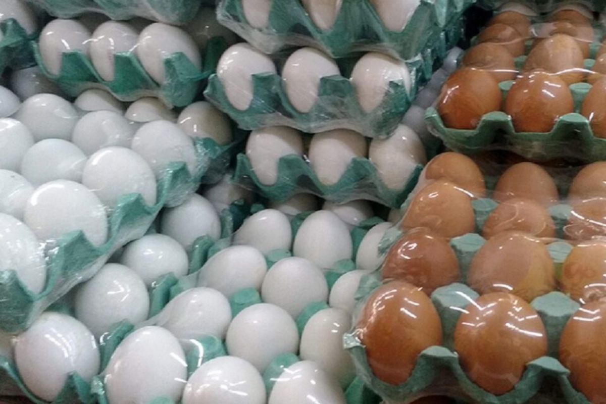 É por isso que os ovos marrons são mais caros que os brancos