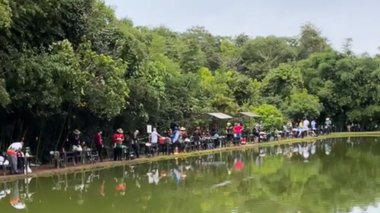 6 pesque-pagues na Grande Goiânia para relaxar e fugir do estresse