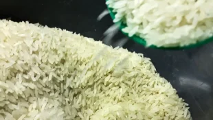 Governo anula leilão e cancela compra de arroz importado