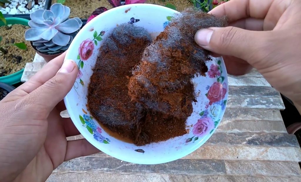 Não jogue mais fora o bombril enferrujado; veja a utilidade secreta