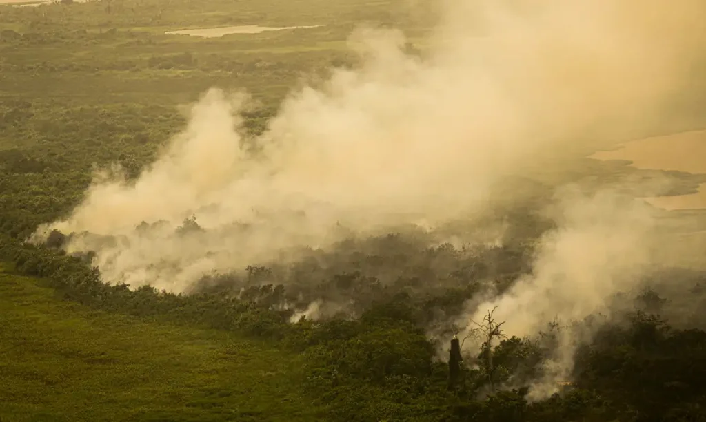 Pantanal tem este ano maior área queimada em junho