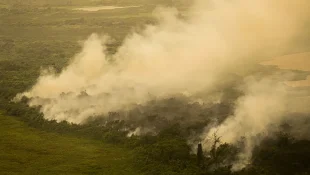 Pantanal tem este ano maior área queimada em junho