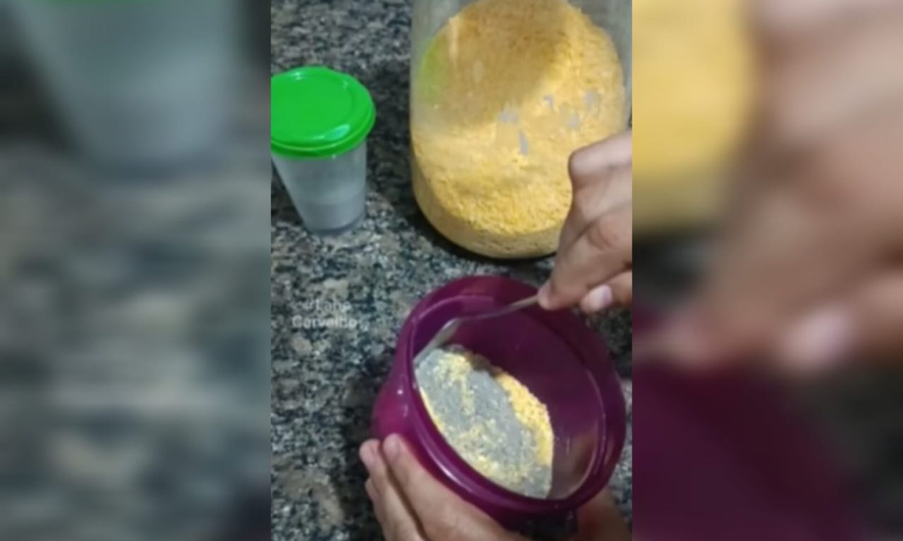 Elimine os ratos que invadiram sua casa com apenas 2 ingredientes