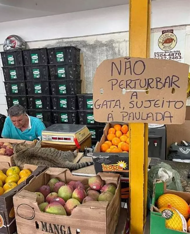 Placa chama a atenção de quem vai à feira e alerta viraliza; veja