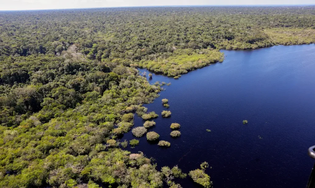 Emissão de gases do efeito estufa por queimadas na Amazônia cresce 60%