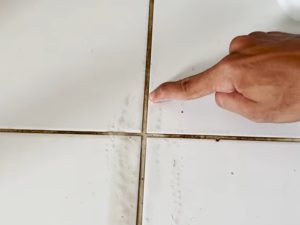 Truque para eliminar o mofo do rejunte do banheiro sem precisar gastar