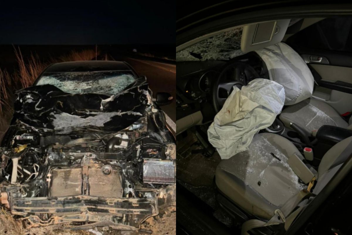 Carro ficou completamente destruído após colidir com boi, em Anápolis. (Montagem: Reprodução) 