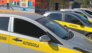 Autoescolas em Goiás, cnh (Foto: Reprodução/Detran GO)