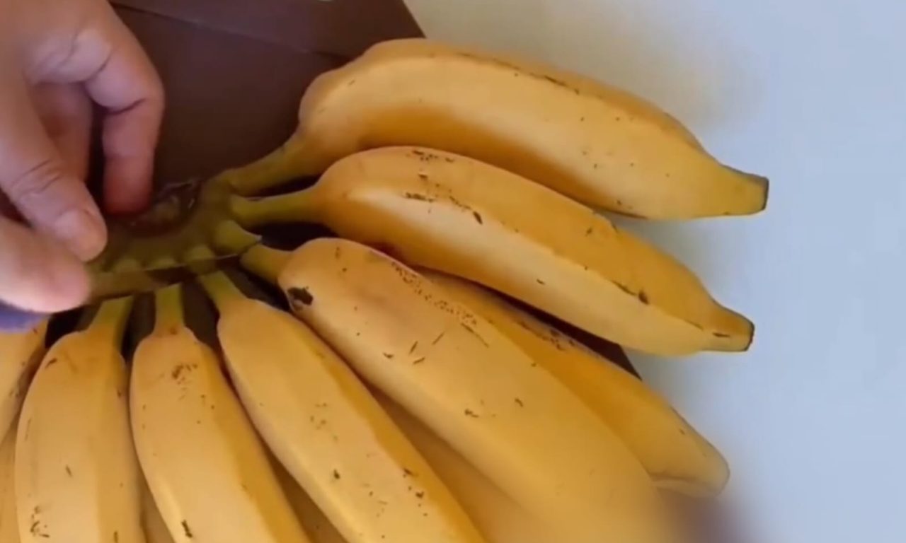 Dica para fazer a banana durar mais tempo