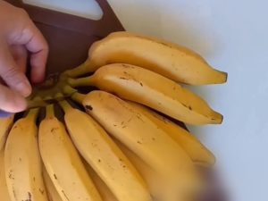 Saber o lugar ideal para guardar bananas faz toda a diferença para conservar a fruta por mais tempo