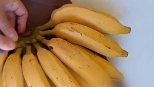 Dica para fazer a banana durar mais tempo