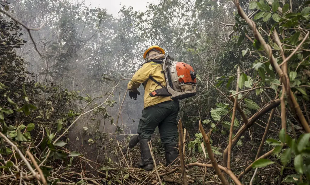 Dino manda governo ampliar combate ao fogo na Amazônia e no Pantanal