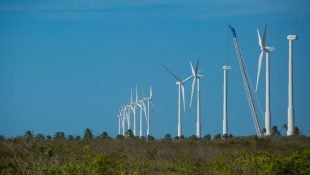 Materiais de energia limpa podem ser problema futuro, diz pesquisadora