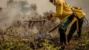 Incêndios no Pantanal já consumiram este ano mais de 15% do bioma