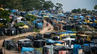 Mais de 1,5 milhão são afetados por remoções forçadas no Brasil