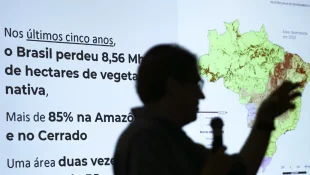 Brasil já perdeu 33% das áreas naturais de seu território