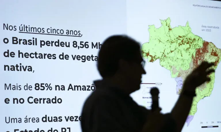 Brasil já perdeu 33% das áreas naturais de seu território