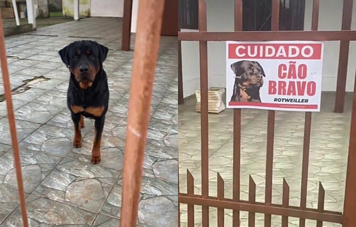 Placa na porta de residência chama atenção, mas não é o que parece